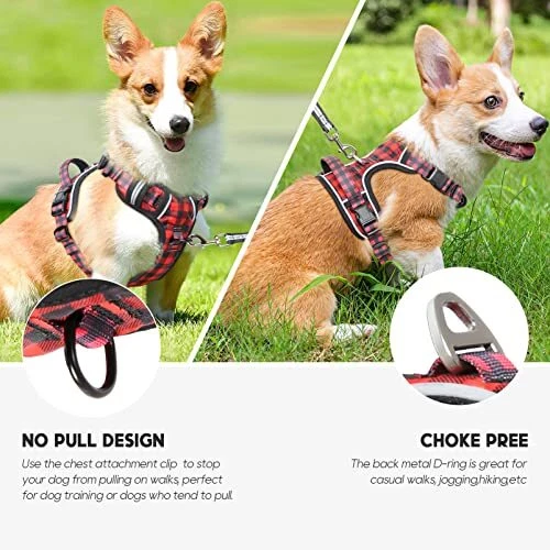 Dog Harness, No-Pull Pet Harness with X-Small (Pack of 1) Normal-Checkered Red