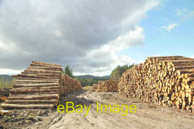 Foto 6x4 Holzfäller Aktivität in der Nähe von Mudale Meadie Burn c2008