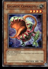 Gigantic Cephalotus Crossroads of Chaos CSOC-EN025 MP YuGiOh TCG | Buy 3 Get 5 F