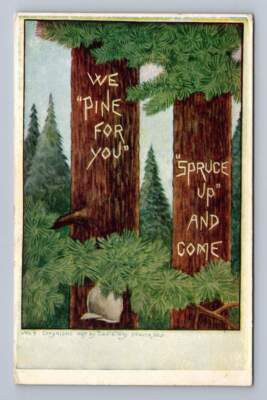 ''We Pine For You ~ Spruce Up & Come'' Antique Tree Pun PC Denver Colorado 1908