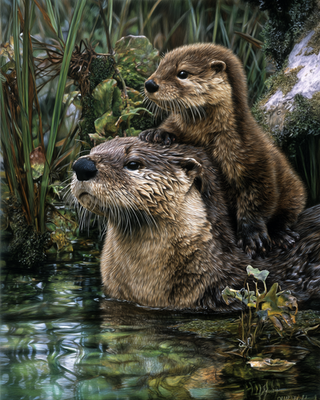 #ad #ad 8x10 River Otter with Pup in Water Wildlife Art Print 145589751 $6.95