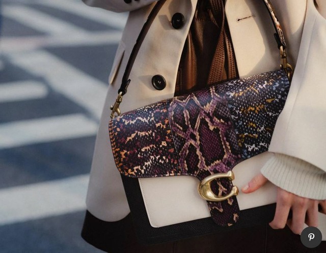 snakeskin messenger bag