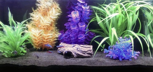 Orbit Aquarien Glanz-Sand schwarz 4 kg Aquarium-Zubehör - Bild 2 von 2