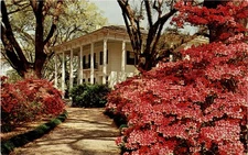 Mitchell Home, Spring Hill Avenue, General Braxton Bragg, Mobile, Postcard