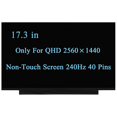 NE173QHM-NZ2 NE173QHM-NZ3 NE173QHM-NZ5 LCD Screen Replacement QHD 240Hz 40 Pin