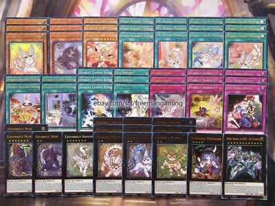 #ad Yugioh Purrely Deck 55 Card Expurrely Epurrely Noir Plump ZEUS Tournament Ready $84.99