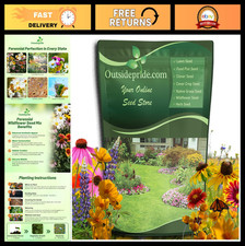 Diverse Perennial Wildflower Seed Mix - 1 lb, Easy to Grow, Attracts Pollinators 59.99 per gallon