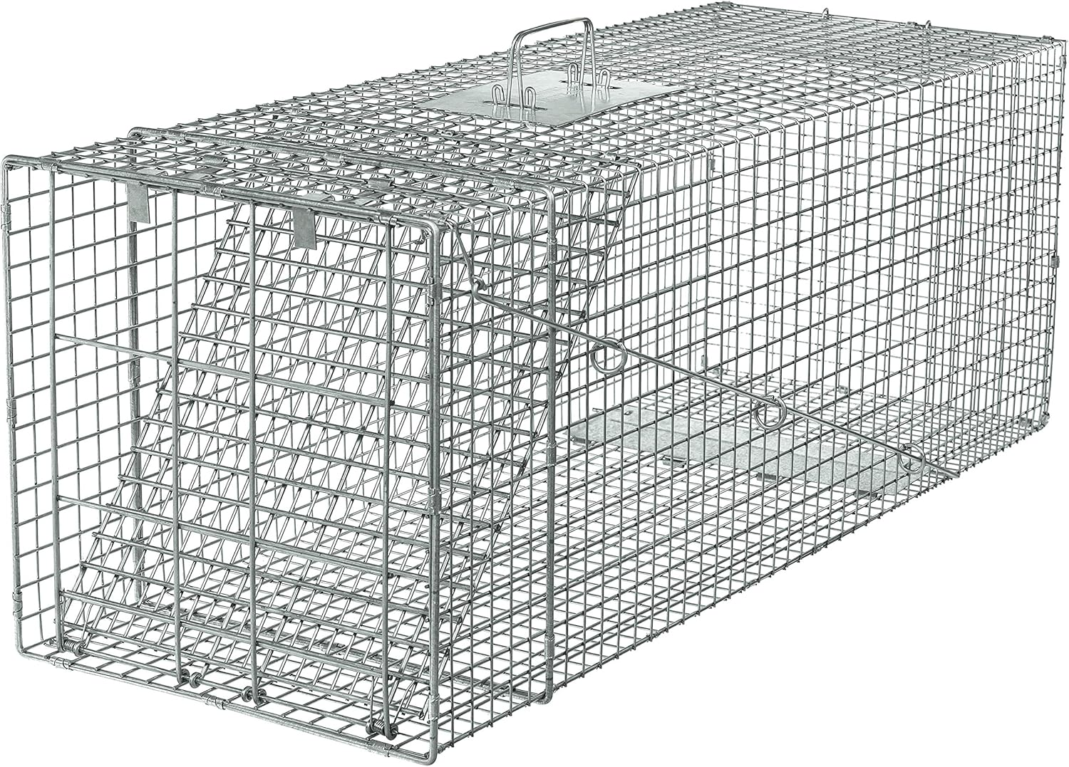 1081 Live Animal Professional Style One-Door Large Raccoon, Small Dogs, and Fox