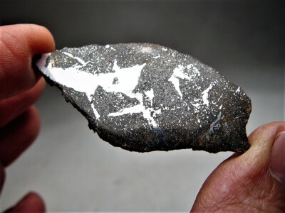 今日だけ！！spicygem Meteorite春の植え替え 今日だけ！！spicygem Meteorite春の植え替え