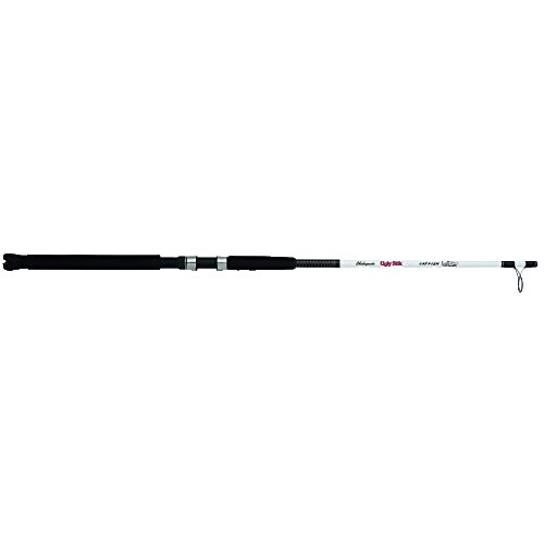 Canne à Pêche Shakespeare Tiger TIGBLKSP 70 – 2 Pièces 7′ – Moulinet Inclus – Occasion