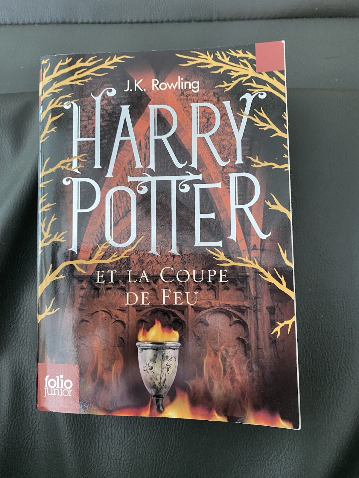 Harry Potter Et la Coupe de Feu (French Edition) - Mass Market Paperback - GOOD