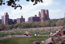1982 Central Park NYC Sheep Meadow Picnic Crowd 35mm Slide New York City