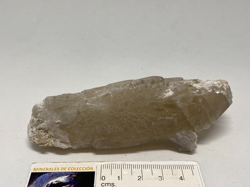CELESTINA Celestine - Armenta, Orihuela, Alicante SPAIN MINERAL 11x4x3 K31 - Imagen 5 de 7
