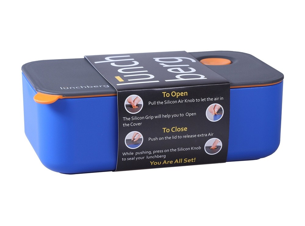 Leak Proof Compact Bento Lunch Box With 2 Compartments In Blue