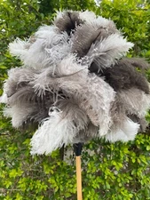 European ostrich feather dusters first grade feathers with Jumbo 75 grm feather