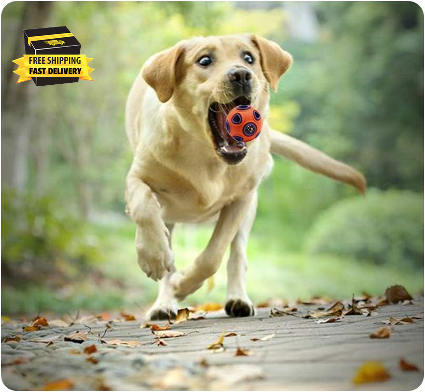 Dog Ball Toy, Dog Interactive Toy with Ring Bell Squeak Toys Dog Rubber