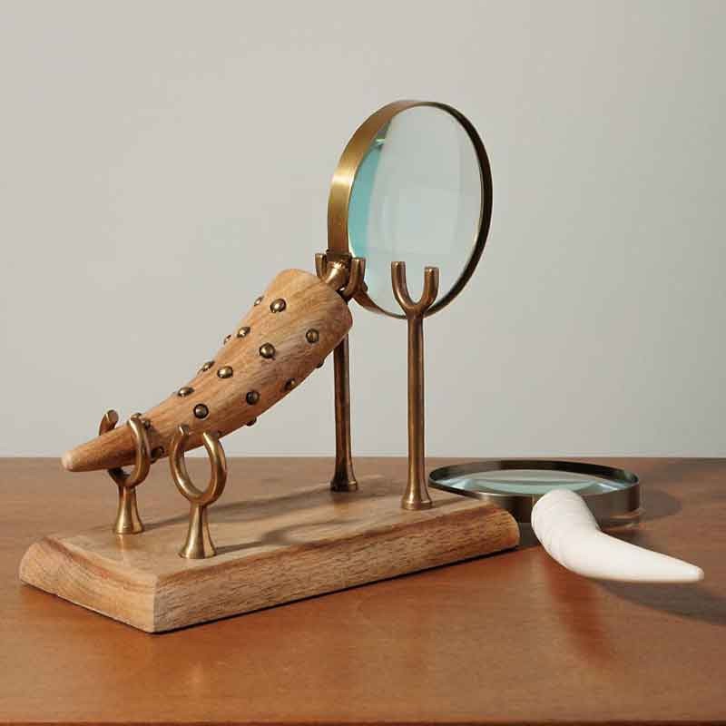 2 loupes cornes sur support dimensions 16x31x8cm accessoires de bureau