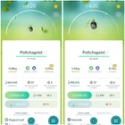 Poltchageist  XXL or XXS  | Tr-de 20k Stardust