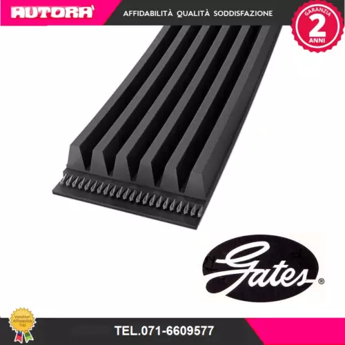 5PK1683 Cinghia Poly-V (MARCA-GATES) - Imagen 1 de 1