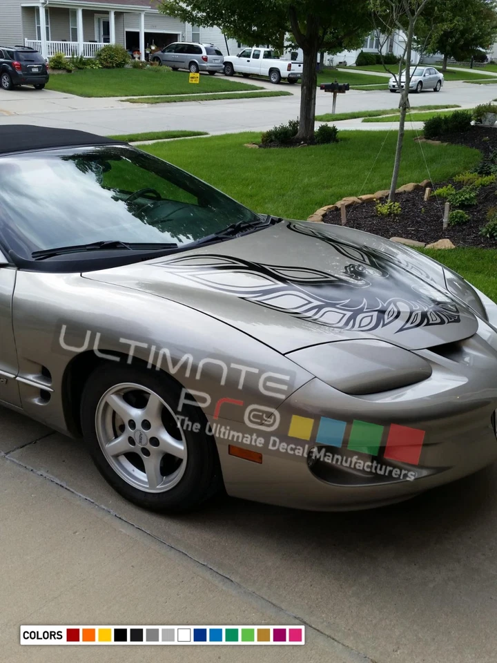 Calcomanía adhesiva rayas capó para Pontiac Firebird Trans Am 1995 1998 1999 Sport Foto 4 de 4