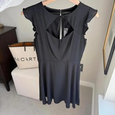 EXPRESS Black Ruffle Sleeve Fit & Flare Mini Dress