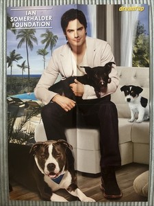The Vampire Diaries Ian Somerhalder & Tal A2 Poster