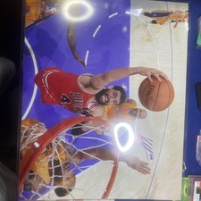 Nikola Mirotic Rookie Cards Guide and Checklist 22