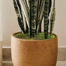 Simulated Moss Ornaments Micro Landscape Turf Scene Mini Garden Artificial