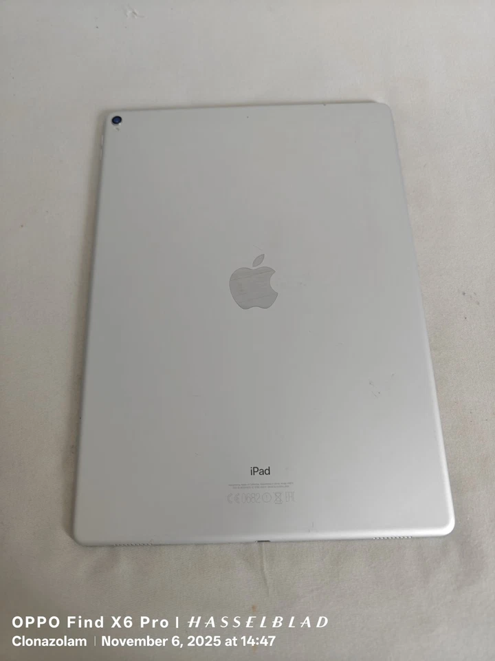Apple iPad Pro 12 9 2. Gen A1670 64GB Wifi Silber Defekt und gesperrt - Bild 2 von 3