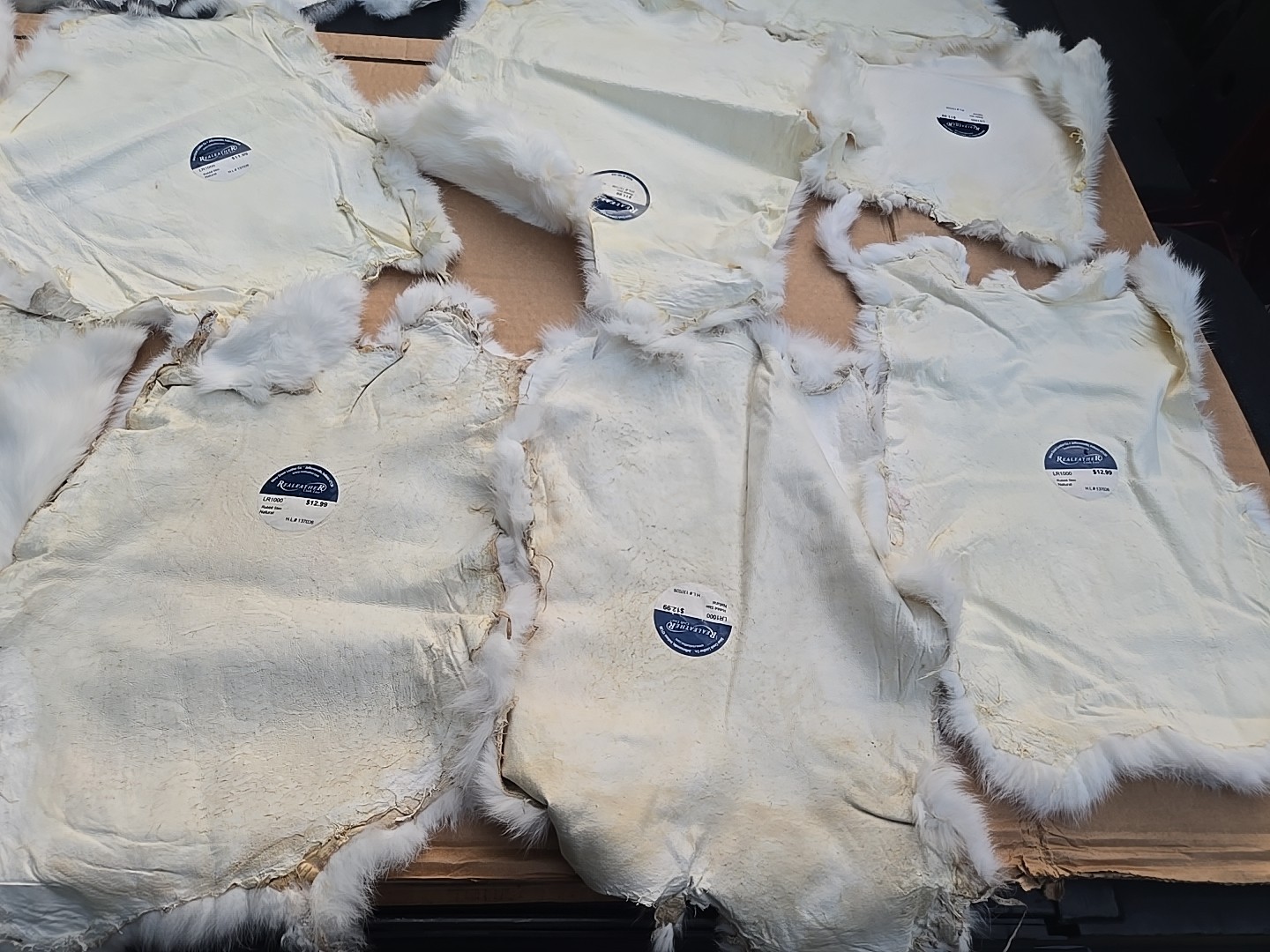 13pcs Real Rabbit Skin Tanned White  Fur Leather Hide Craft Garment Pelt