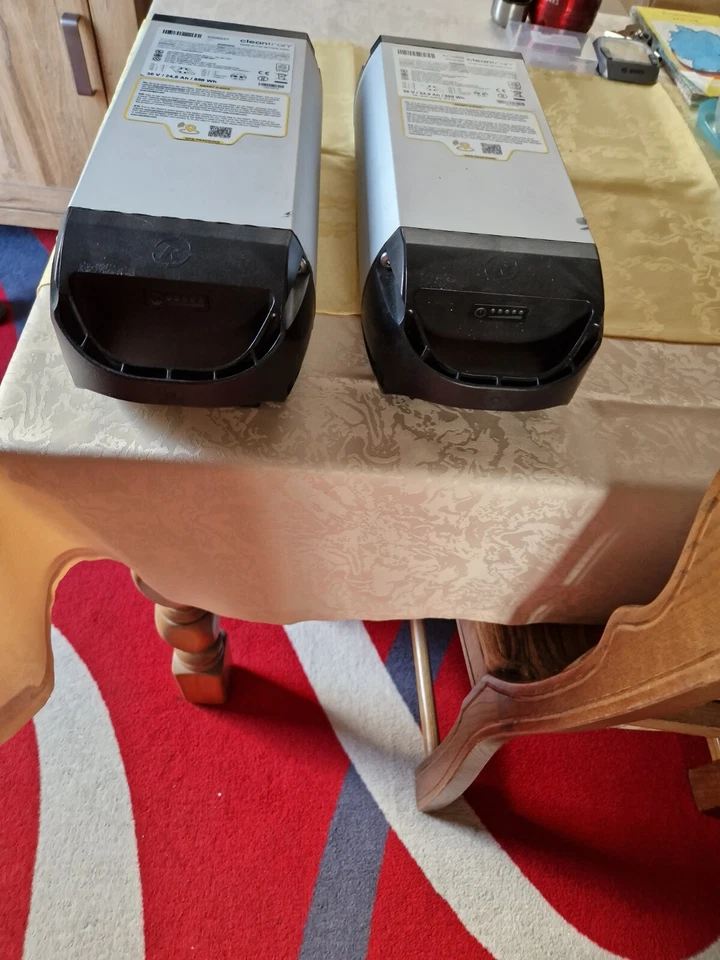 Van Raam Twinny Plus Therapie Dreirad mit, einem neuen Ersatz Akku  - Bild 3 von 4