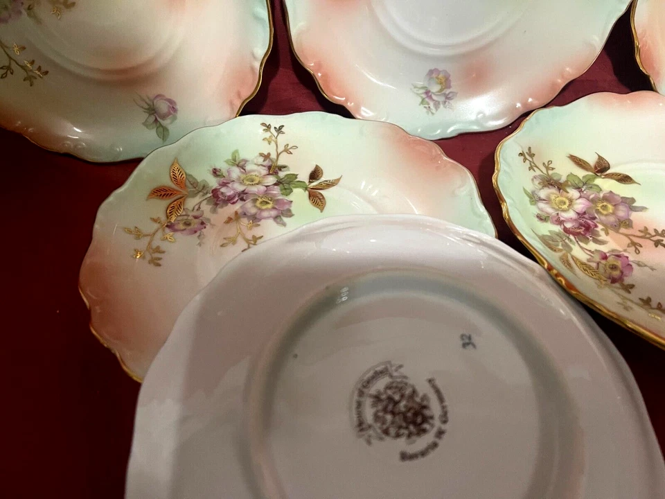 House Of Goebel Bavaria W. Alemania Wild Rose Juego de 6 platillos 5 3/4" Foto 2 de 2