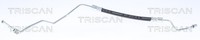 Bremsschlauch Triscan 8150 25265 FüR Renault Megane 3 DZ0 BZ0 KZ0 ScÉNic JZ0 CC