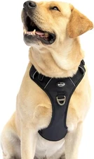 Harness No Pull Adjust.Reflective Easy Control Handle for Walk (Large)