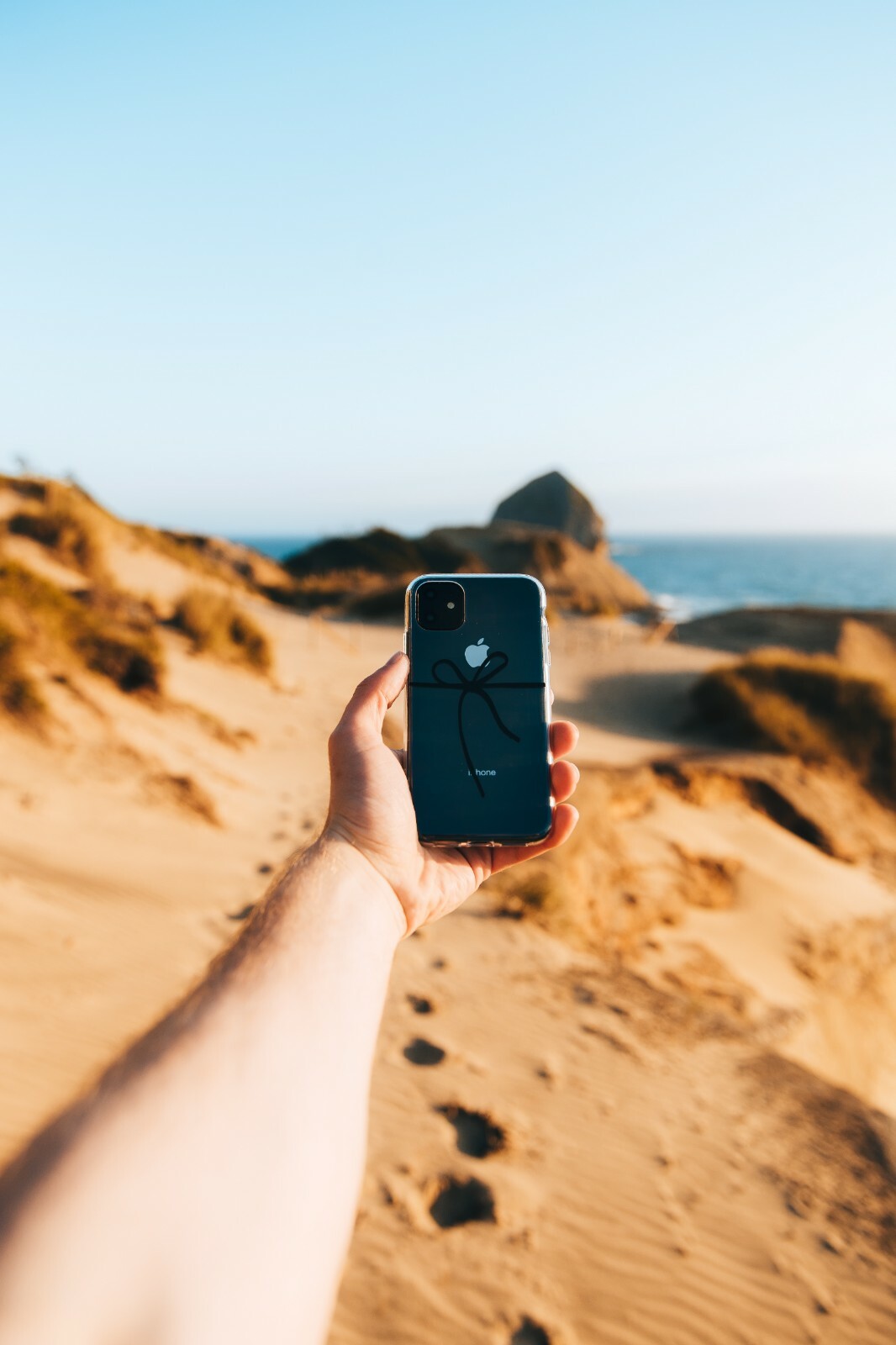 Casely iPhone 11 Clear Ribbon Case with Knot Over U Design  -image