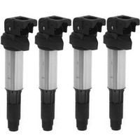 Bmw E81 E87 E46 E90 E39 E83 E53 E85 E92 E91 E61 E60 E63 E65 E66 E70 E36 -Spulen
