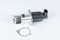AGR Ventil Borgwarner (Wahler) 710723D FüR Renault FC0 Clio JM0 ScÉNic Suzuki 2
