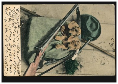 Animal Postcard Two Dogs in Hunter Backpack, from Vienna to St. Aegyd am Neuwalde around 1910