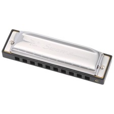 Swan Harmonica 10 Holes Key of C SILVER w/ Case Blues Harp Stainless Steel R4G1