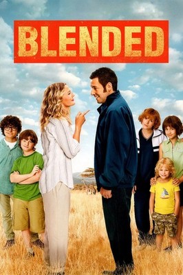 Blended (DVD, 2014)