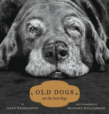 Old Dogs: Are the Best Dogs - Hardcover By Weingarten, Gene - GOOD