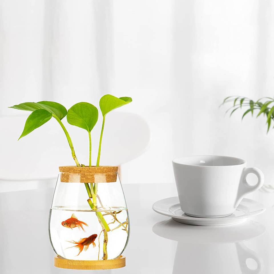 Desktop Fish Bowl Clear Glass Small Fish Tank with Wood Lid and Bamboo