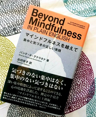 マインドフルネスを超えて 日本語訳 バンデ H グナラタナ著 Mas Alla De Mindfulness En Ingles Sencillo Por Bhante H Ebay