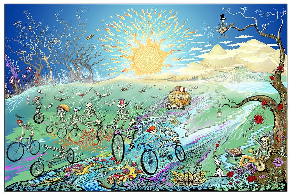 Laminated Mike DuBois Grateful Dead Summer Tour Poster 36x24 Inches-image