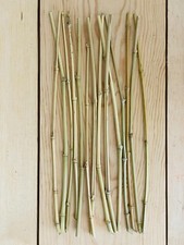 14X12'' Natural Dry Bamboo Sticks  Decorative Bamboo  Green Floral Crafts