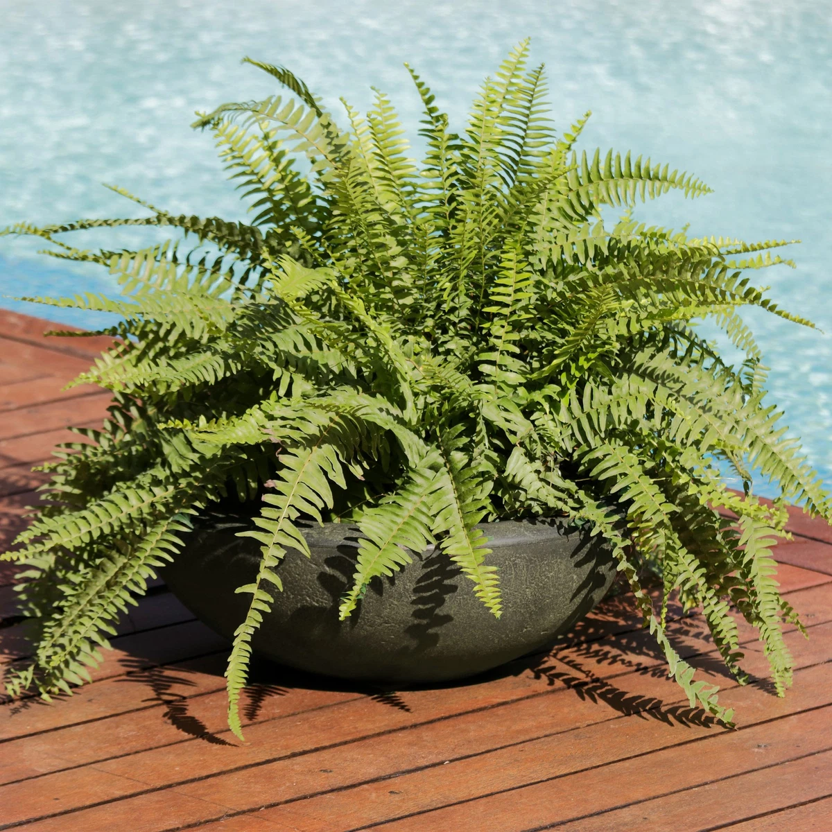 Garden Planters for sale | eBay