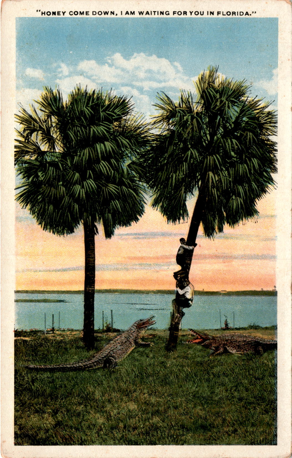 Jacksonville, Florida, WH. & W.B Drew Co. Postcard