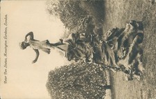 Kensington gardens peter pan statue Eyre and spottiswoode