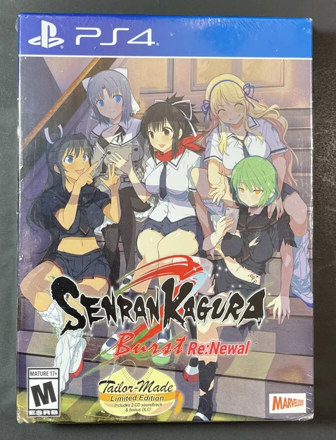 Senran Kagura Burst Re:Newal - Art Class