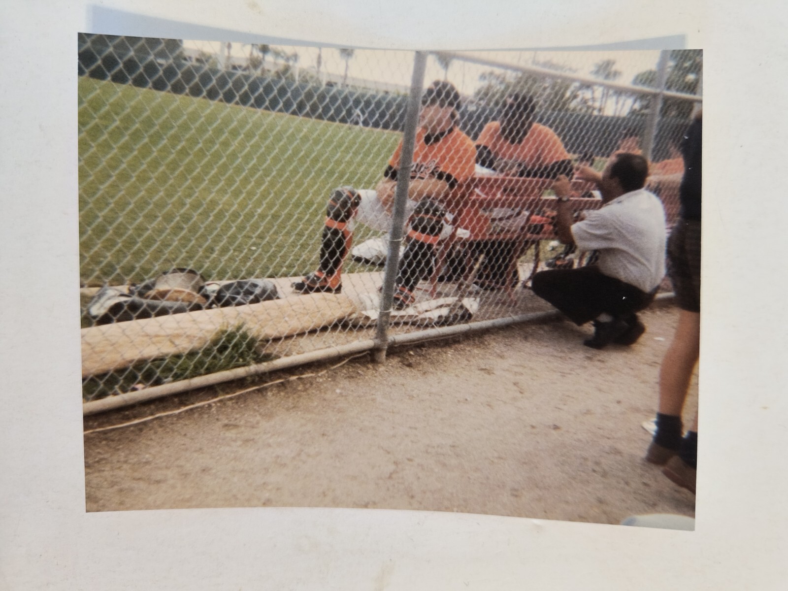 Picture 4 of 4